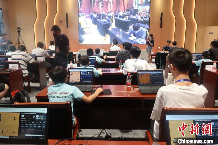 浙台青少年围棋赛线上线下同步开赛 两岸选手共