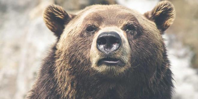 文班亚马头部撞击引争议 马刺季后赛首战遭逆转